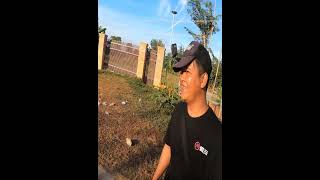 Slingshot Skills  បាញ់លលកតាមខ្សែភ្លេីង 1100 shorts slingshot birdhunting [upl. by Uhn981]