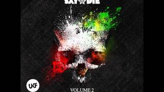 SKisM  Like This Feat Virus Syndicate Antiserum amp Mayhem Remix [upl. by Willmert679]