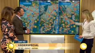 Så mycket sol blir det i veckan  Nyhetsmorgon TV4 [upl. by Claudy]