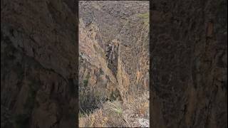 CACHOEIRA DO TABULEIRO trilhandotrekking nature shots [upl. by Ricker]