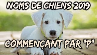 🐕Idées noms de chiens 2019 commençant par quotPquot🐕 [upl. by Aerdied282]