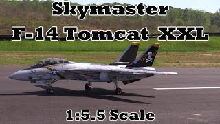 Chetan Saraf  Skymaster ARF Plus Pro F14 Tomcat XXL Scale Jet  462024 [upl. by Aikal]