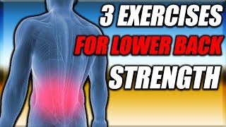 3 Exercises To Strengthen Your Lower Back [upl. by Tollman526]