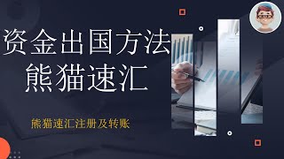 资金出国的几种方法对比 熊猫速汇资金出国适合人群 [upl. by Eserahs406]