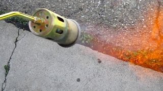 Quick amp Easy Way To Eliminate Unwanted Weeds Using A Propane Torch [upl. by Greenberg]