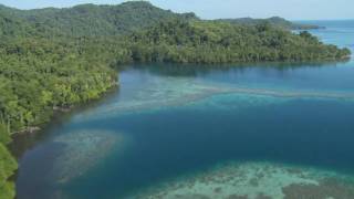 Wild New Britain Papua New Guinea [upl. by Eira]