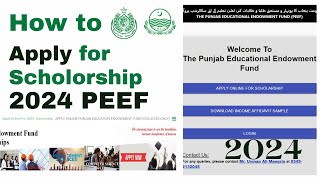 PEEF Punjab Scholarships for Sindh Students Intermediate and Matric Education  How to Apply 2024 [upl. by Nilo]