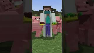 3 Minecraft Myths or do they really works [upl. by Nekciv454]