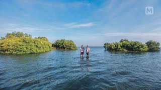 SAMBRANIKODI Kollam Kerala A Paradise in Ashtamudi Lake [upl. by Buskirk22]