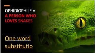 60 different types of phile  list of phile words  one word substitution  which phile are you [upl. by Louanna]