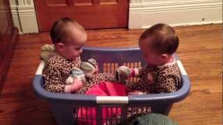 Twin Babies Talking in a Laundry Basket [upl. by Lilybelle]