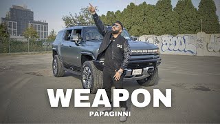 WEAPON Music Video PAPAGINNI  LATEST PUNJABI SONGS 2024 [upl. by Lemrahs170]