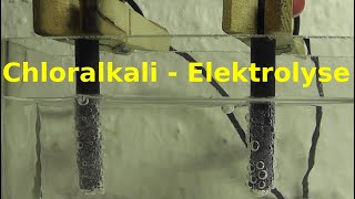 ChloralkaliElektrolyse Elektrolyse von NatriumchloridLösung [upl. by Anyak]