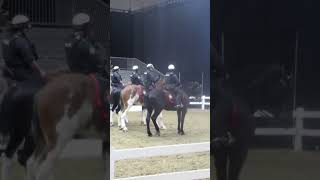 Royal Winter Fair 2024 Toronto Police Mounted Unit Charge [upl. by Flanagan]