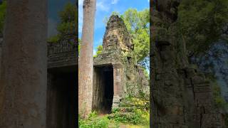 Angkor Wat Temple shorts shortvideo [upl. by Tneciv]