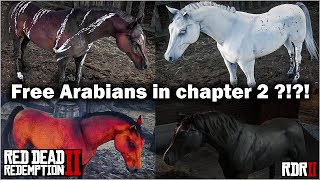 Four free Arabian Horse in chapter 2 in Red Dead Redemption 2 in 2021  Black Arabian RDR2 [upl. by Dunkin621]