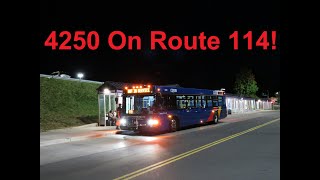 NeoplanDude  CDTA 2024 Gillig Advantage 4250 On Route 114 To Crossgates Mall [upl. by Anoniw]