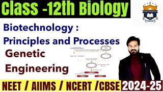 Biotechnology Principles and Processes  Genetic Engineering Class 12 biology  NEET [upl. by Eidroj822]