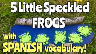 “5 little speckled frogs” in Spanish with SPANISH VOCABULARY [upl. by Roderica]