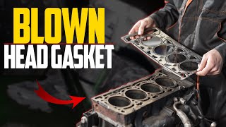 5 Blown Gasket Symptoms amp Replacement Cost [upl. by Yniattirb868]