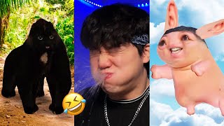 BEST JeffreyX Funny Try Not To Laugh Challenge Compilation 🤣 2024 Part 10 [upl. by Nnylhtak441]