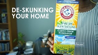 How To Remove Skunk Smell From Your Home [upl. by Wharton]