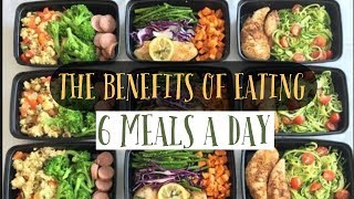 THE BENEFITS OF EATING 6 MEALS A DAY [upl. by Nyved]