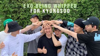 EXO BEING WHIPPED FOR KYUNGSOO [upl. by Aissila]