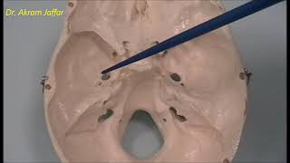 Osteology of the skull 6 cranial cavity [upl. by Giesecke]