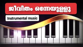 jeevitham onneyullu  instrumental song  malayalam christian song [upl. by Alleuqcaj]