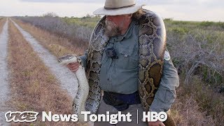 The Bounty Hunters Catching Pythons In Florida HBO [upl. by Emilia]