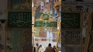 Ziyarat of Rawdah E Rasool Allah SWT  Assalato WA Assalam Alaika ya Rasool Allah [upl. by Gnaw]