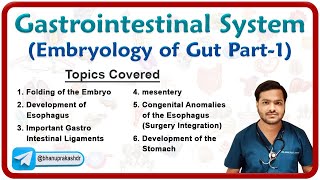 Embryology of Gastrointestinal system  Development of Foregut Part  1 [upl. by Marius60]