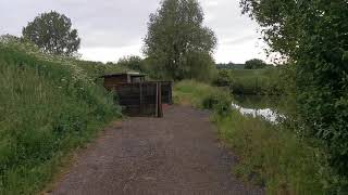 Pavyotts mill fishery peg 4 2021 [upl. by Ameerak]