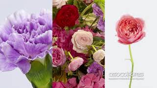 IFD Flower Trends Forecast 2018 Positively Posh with Asocolfores [upl. by Tracy]