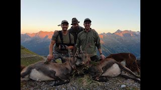 Alpine Ibex hunting  Steinbock jagd  Tirol Austria 2023 [upl. by Ailic]