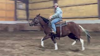 Strait Catz BigHeart  2021 Filly  4th ride 1st ride with a snaffle 101024 [upl. by Aryajay]