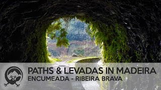 Best Levada Walk in Madeira Dangerous Encumeada  Ribeira Brava [upl. by Vaish247]