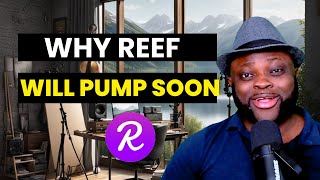 REEF Coin MASSIVE Potential for Profit in 2024 My Deep Dive [upl. by Erle]