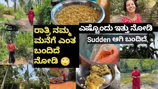 ರಾತ್ರಿ ನಮ್ಮ ಮನೆಗೆ ಎಂತ ಬಂದಿದೆ ನೋಡಿ🙄ಎಷ್ಟೊಂದು ಇತ್ತು ನೋಡಿSudden ಆಗಿ ಬಂದಿದೆKannada vlogs [upl. by Tyrone]