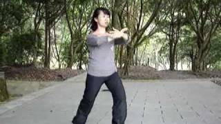 13 Forms of Taichi Taichi part 4 [upl. by Nylloh486]