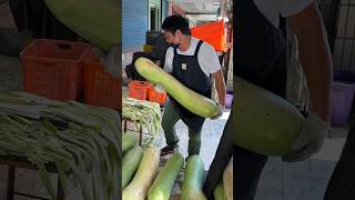 The Worlds Largest Winter Melon Cutting Skills in Taiwan [upl. by Kilby315]