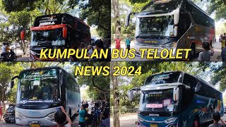 TERBARU 2024 KLAKSON BUS TELOLET BASURI  HUNTING DI AMTC LUBANA SENGKOL [upl. by Kalikow]