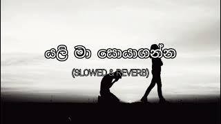 Yali Ma Soya Enna Slowed amp Reverb යලි මා සොයාගන්න [upl. by Adachi167]