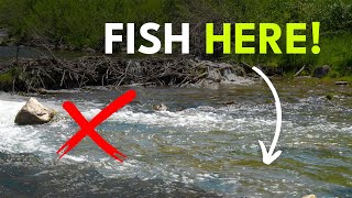 How To Find Trout In A River — Pocket Water 101  Module 8 Section 2 [upl. by Ahcarb]