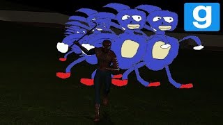 THE SANIC ARMY RETURNS  Garrys Mod [upl. by Notac]