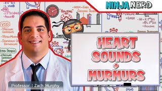 Heart Sounds amp Murmurs  Clinical Medicine [upl. by Eedoj]