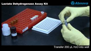 Lactate Dehydrogenase Assay Kit [upl. by Natrav]