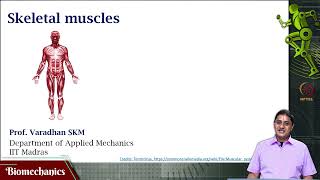 Sliding filament theory [upl. by Clo]