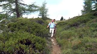 Über Stock und Stein Reinswald Sommer [upl. by Yliak]